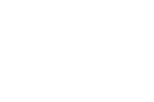 logo-shopify-plus-partner-blanco