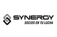 logo-synergy-1